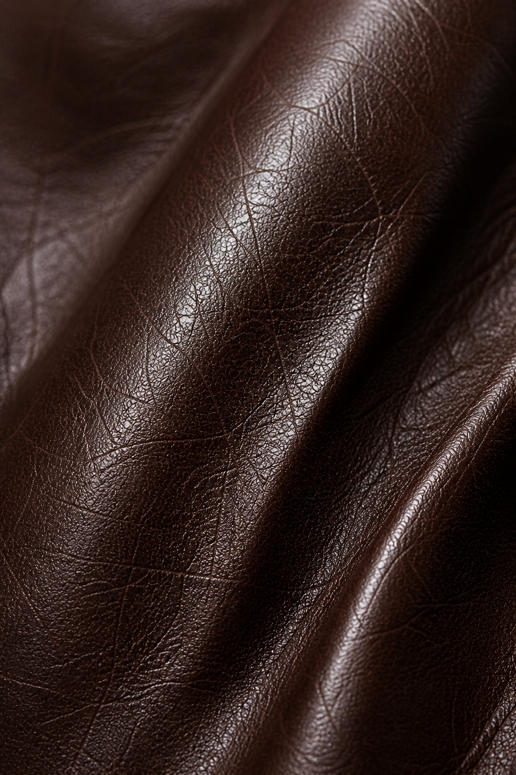 Architectural Cropped Leather Jacket